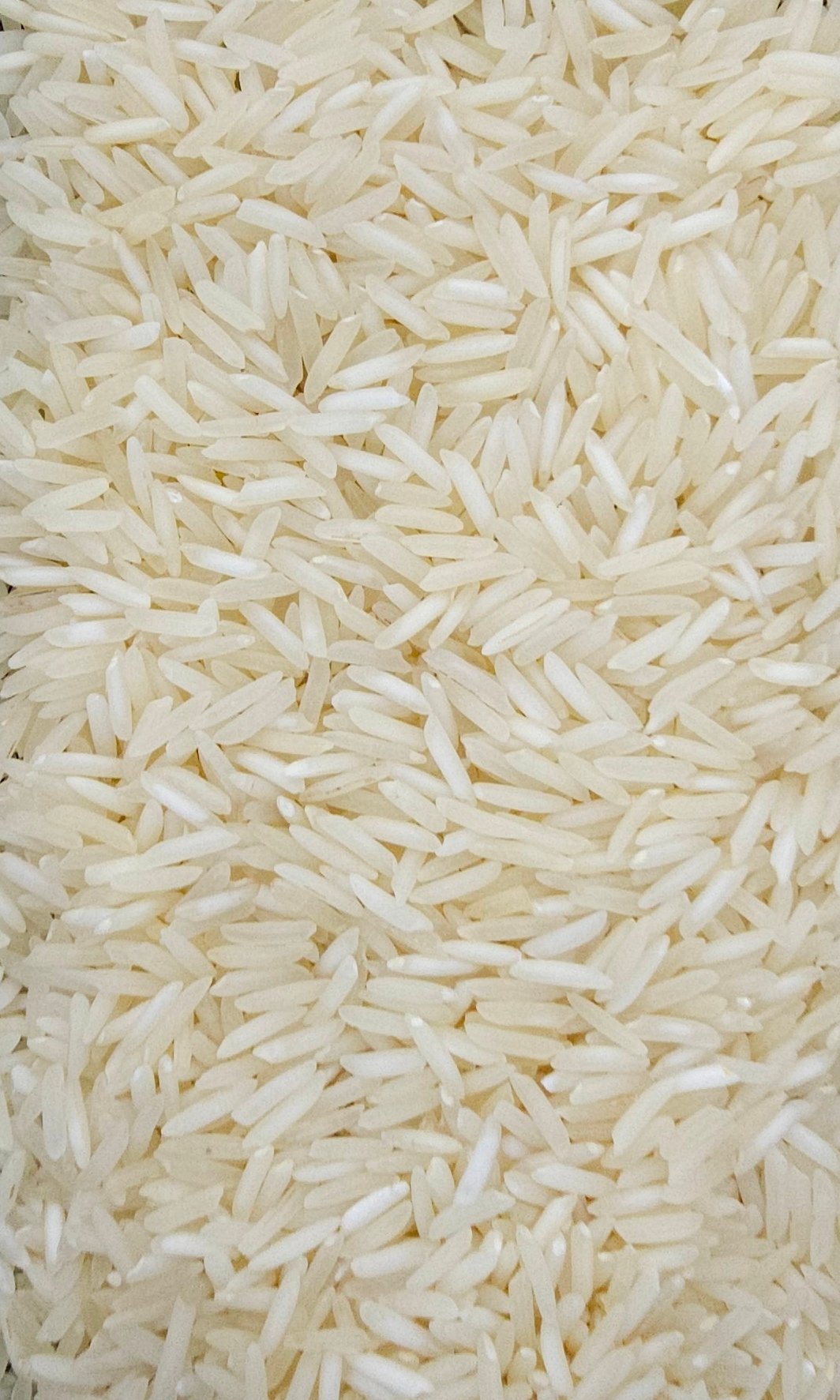 Traditional Raw Basmati Rice